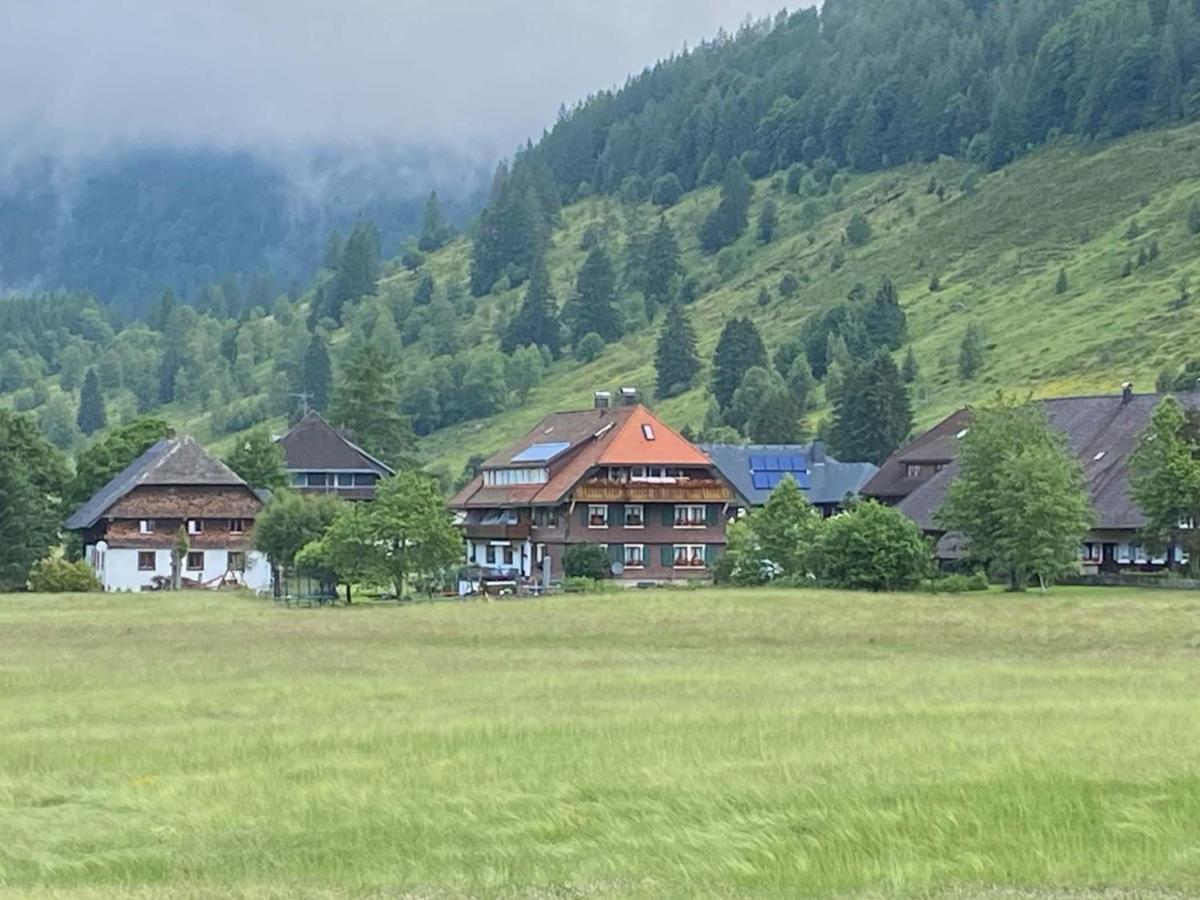 Menzenschwand-Hinterdorf Gaestehaus Kaiser מראה חיצוני תמונה